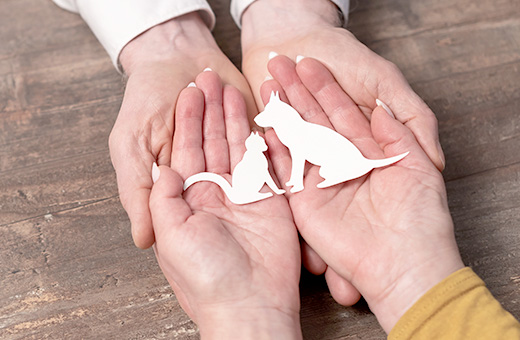 ペットの模型を持つ手のひら